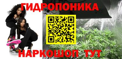 МДПВ Новодвинск
