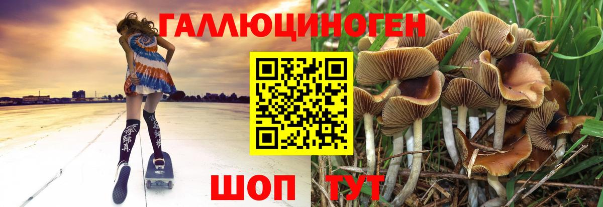 Псилоцибиновые грибы Magic Shrooms Тихорецк